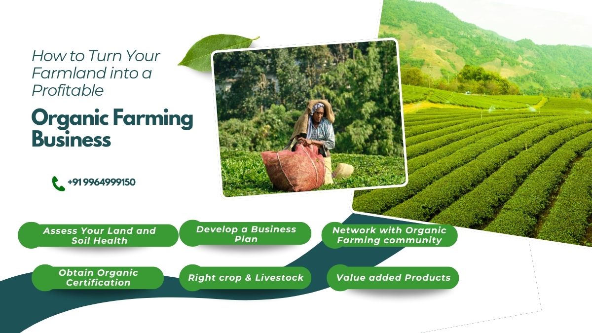 Organic Farming Business