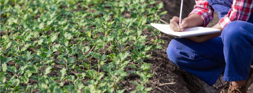 How to Buy Agricultural Land in Karnataka in 2025