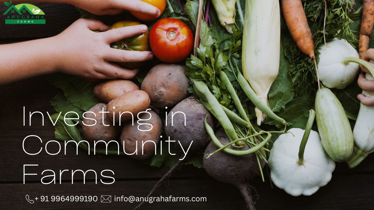 investing in community farms