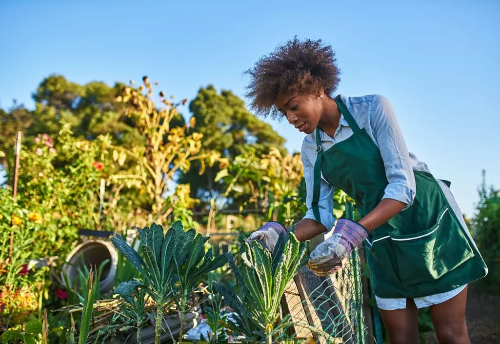 post-img-2-min post-img-2-min