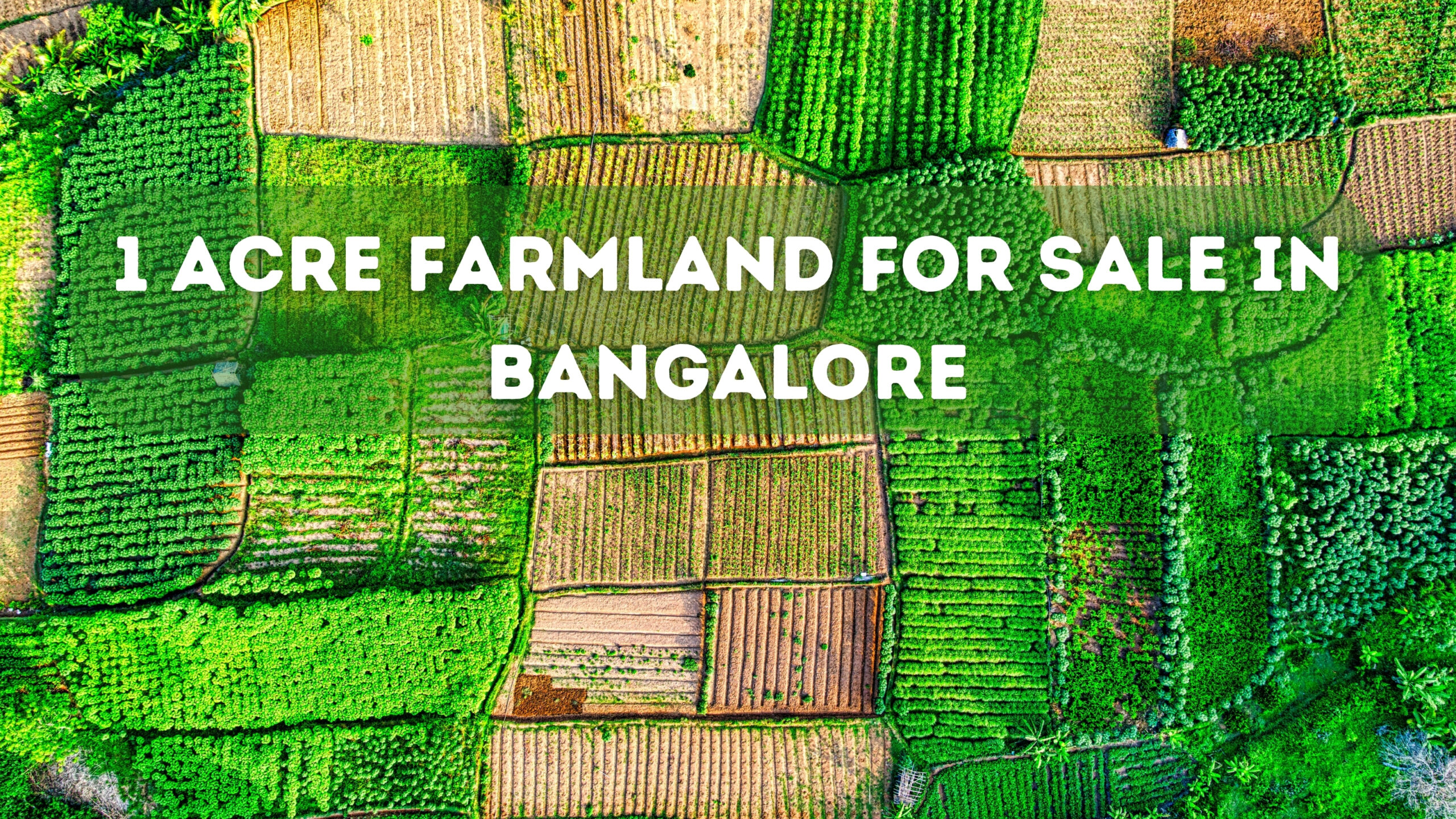 1 Acre Farmland for Sale in Bangalore