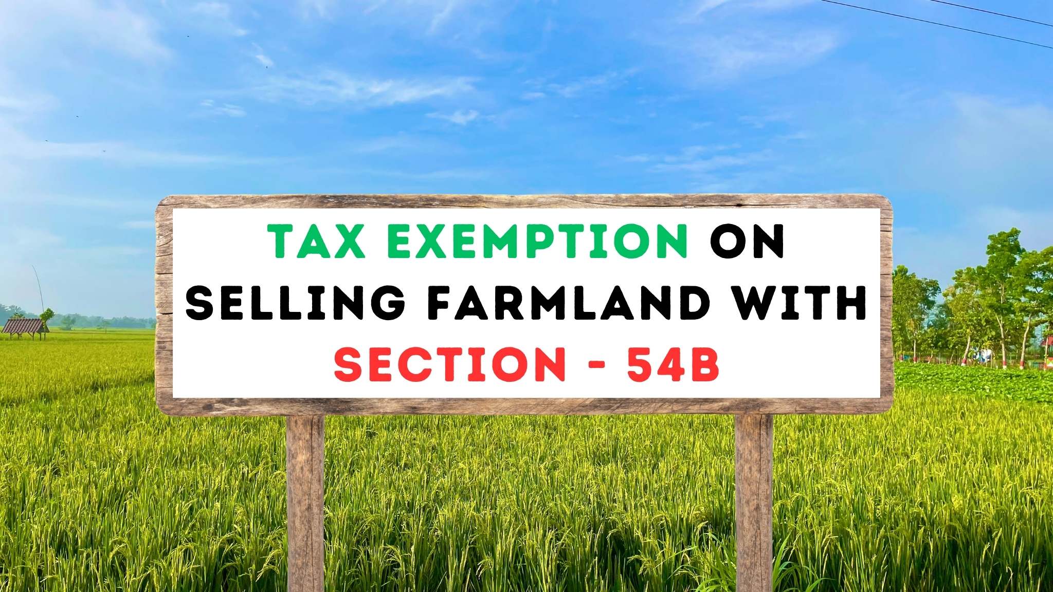 Tax Exemption