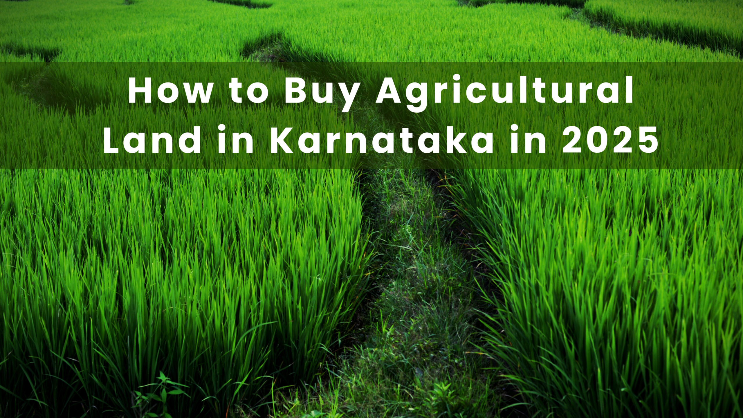 agricultural land in Karnataka