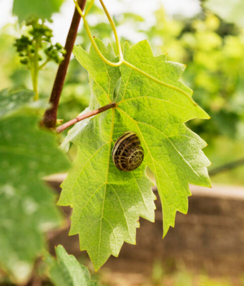 2148573789_1200x1200