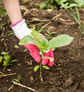 2148579954_1200x1200