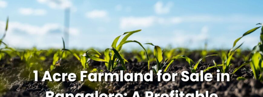 1 Acre Farmland for Sale in Bangalore