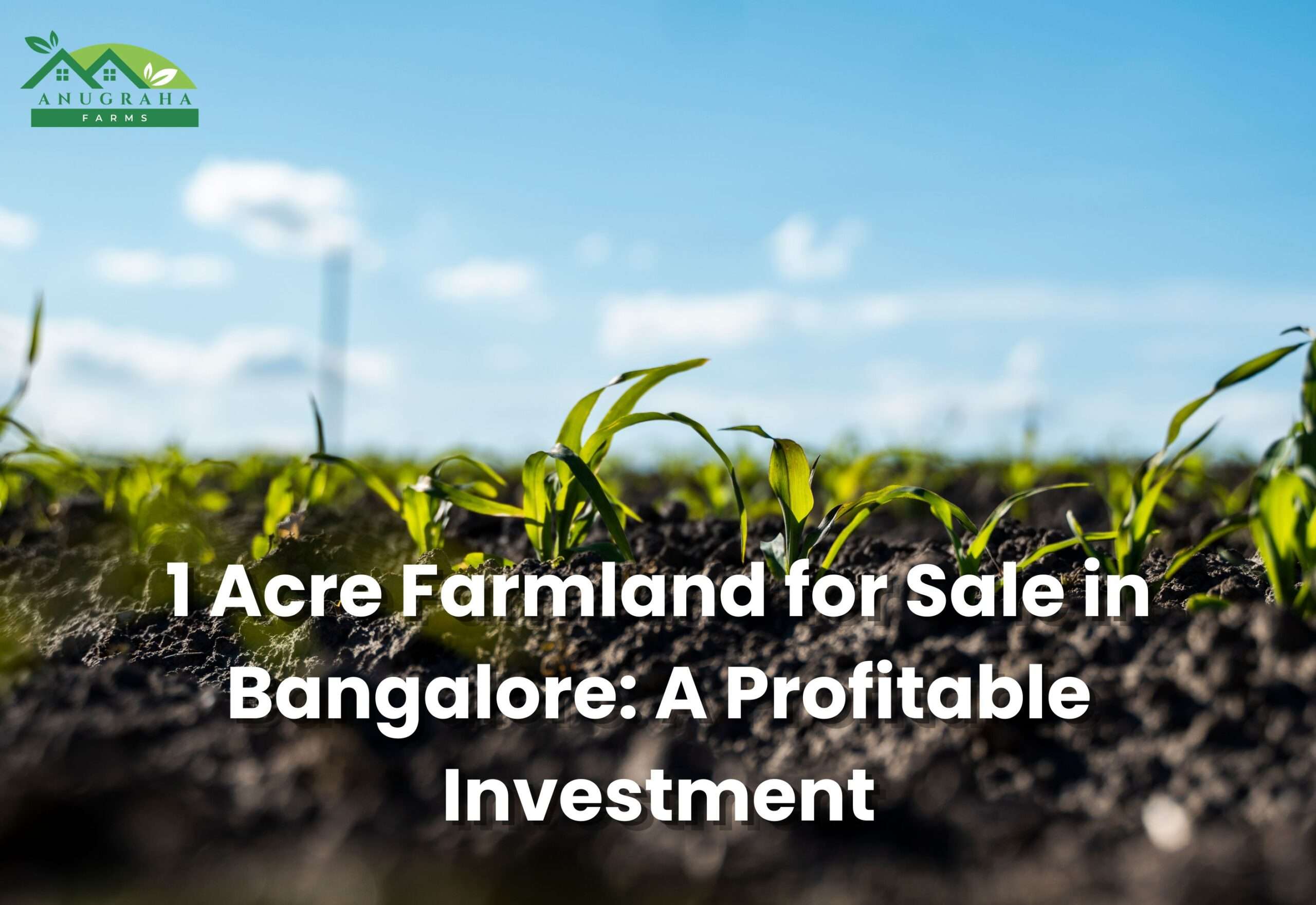 1 Acre Farmland for Sale in Bangalore
