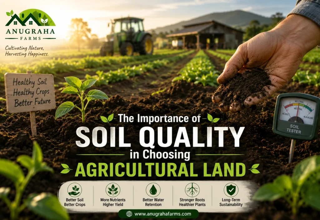 The Importance of Soil Quality in Choosing Agricultural Land