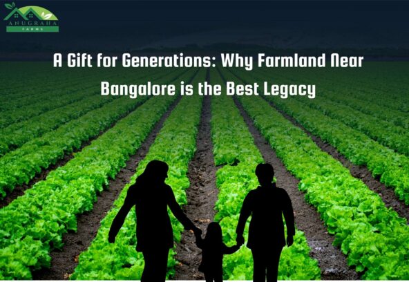 Why Farmland Near Bangalore is the Best Legacy