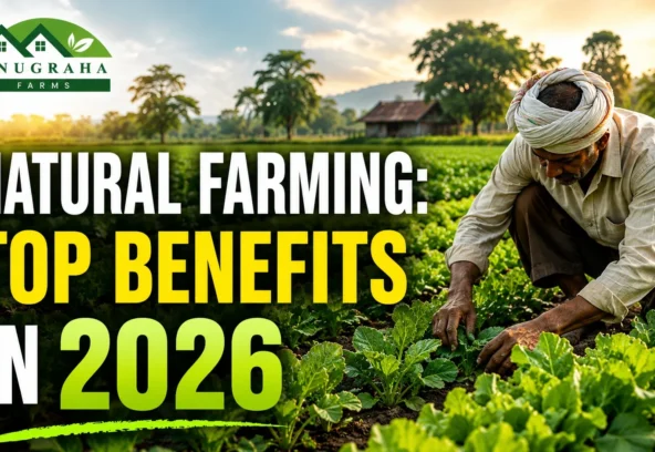 Natural Farming Top Benefits In 2026
