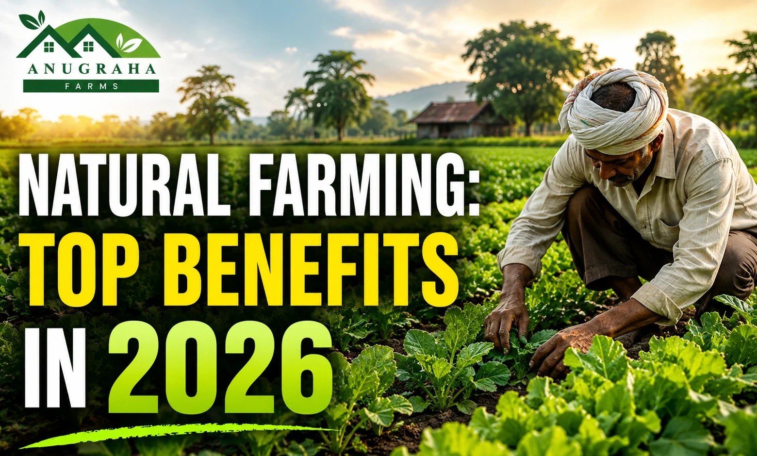 Natural Farming Top Benefits In 2026