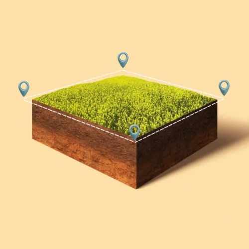 Selecting a farmland plot at Anugraha Farms