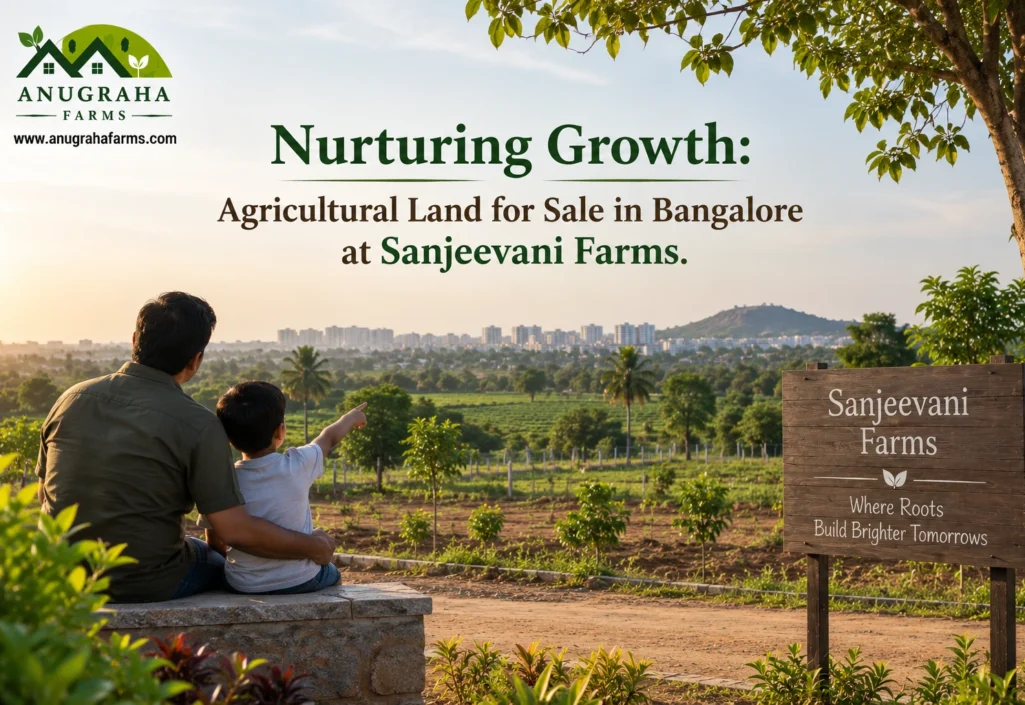 Agricultural land for sale in banglore at sanjeevani farms2 Nurturing Growth: Agricultural Land for Sale in Bangalore at Sanjeevani Farms