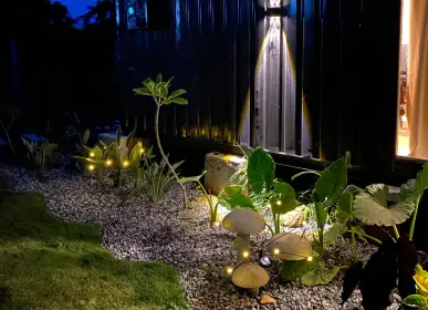 Home Landscape lighting and greenery at farmland