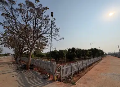 Tree-lined internal road through the H2O Farms property