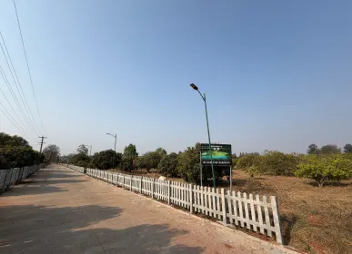 nternal concrete road within the farm