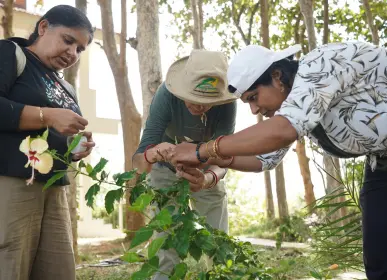 Home Hands-on regenerative farming practice session at Anugraha Farms