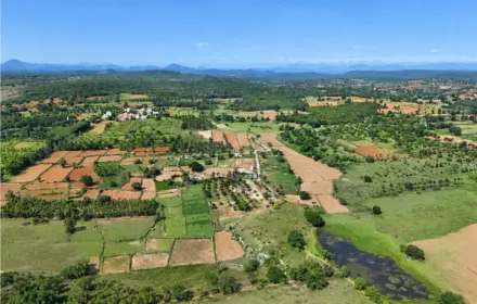 Open agricultural land at Sangam Farms in Thally