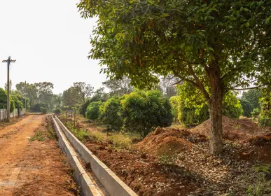 tree lined internal road h2o farms.