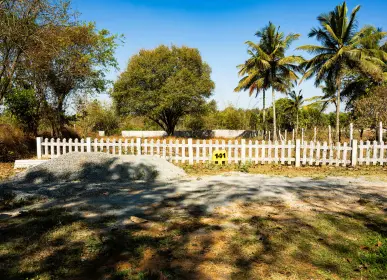 Internal farm road bordered by mature trees and picket fencing