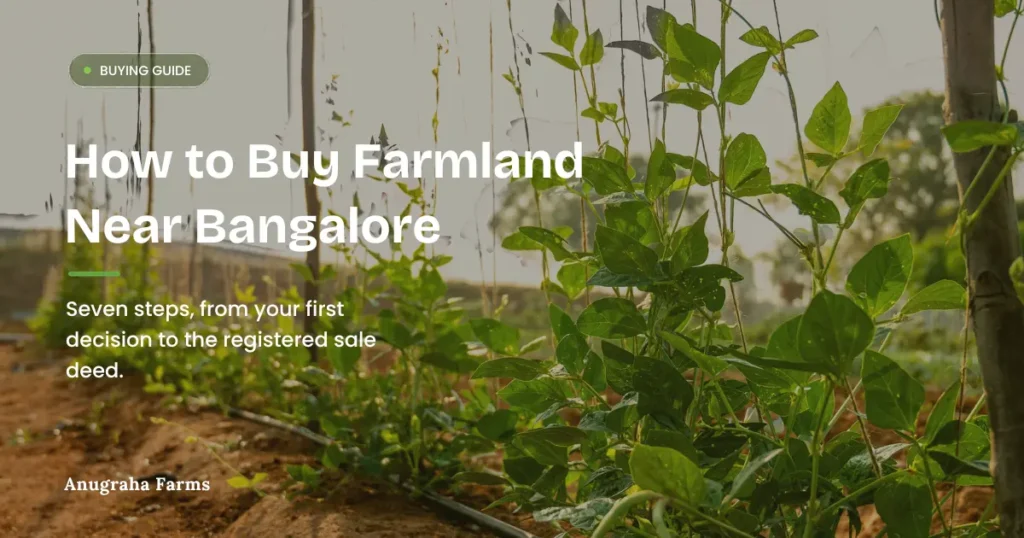 How to Buy Farmland Near Bangalore: A Step-by-Step Guide how to buy farmland near bangalore 7 steps.